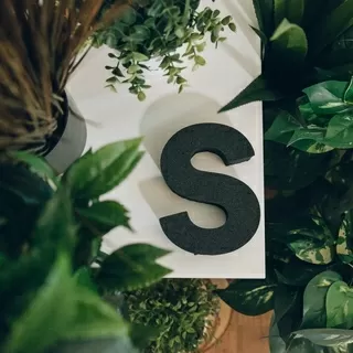 3d打印机S在一些植物旁边的桌子上