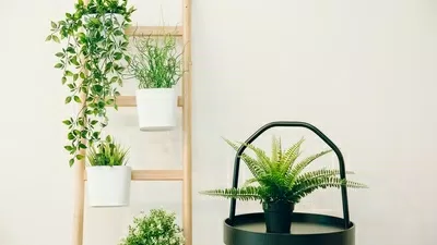 MadeByShape工厂安排